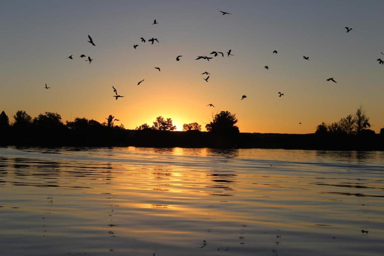 バンダービールパーク Vaal River House @ Lochvaalヴィラ エクステリア 写真